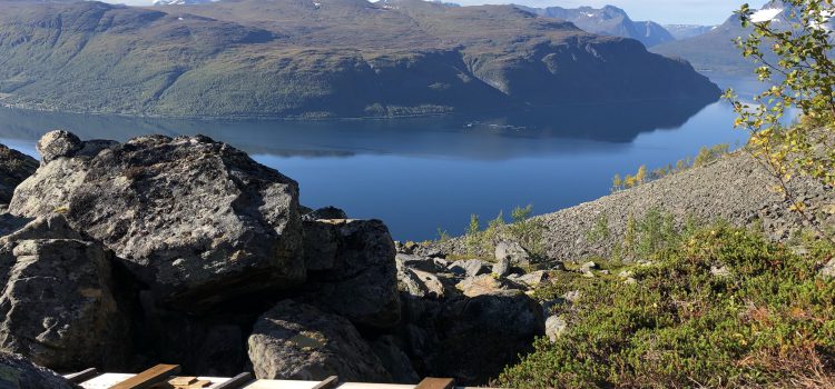 Broer i ura før Stallogophi